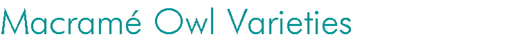Macram� Owl Varieties